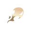 急速之追求